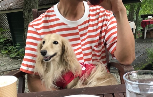 2018.8.25チェスくっきー.jpg