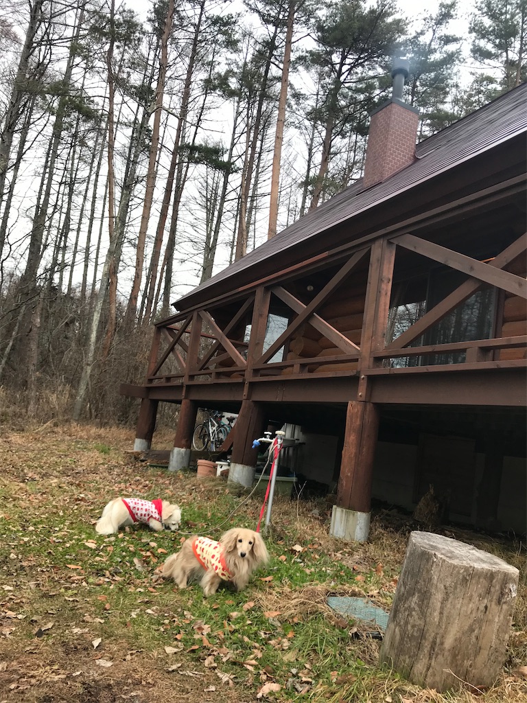 f:id:captaindog082:20191213231824j:image