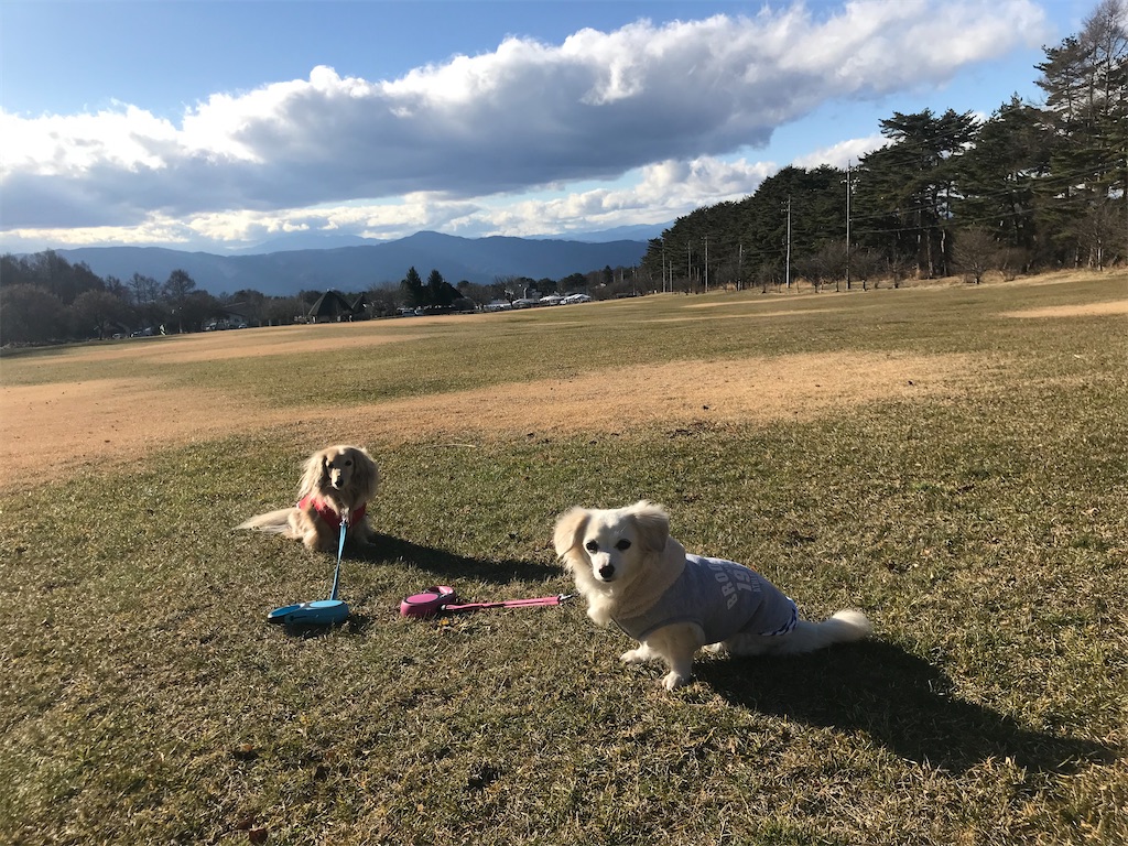 f:id:captaindog082:20191213231920j:image