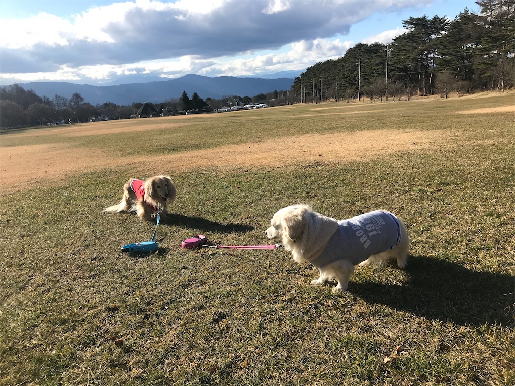 f:id:captaindog082:20191213231924j:image
