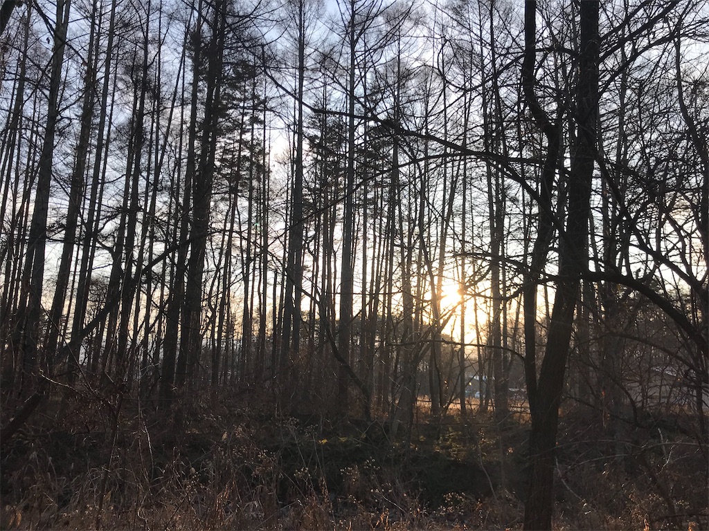 f:id:captaindog082:20191213232012j:image