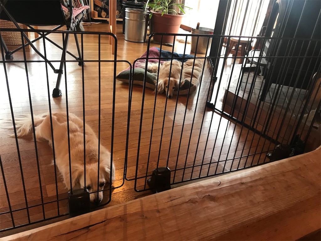 f:id:captaindog082:20191215221519j:image