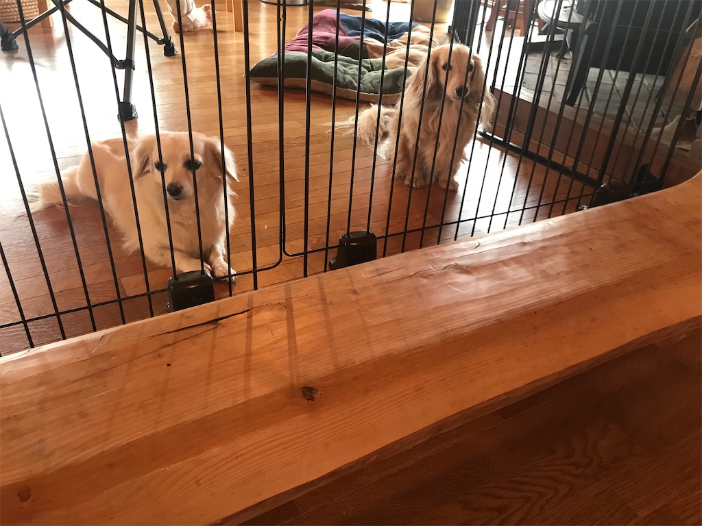 f:id:captaindog082:20191215221522j:image