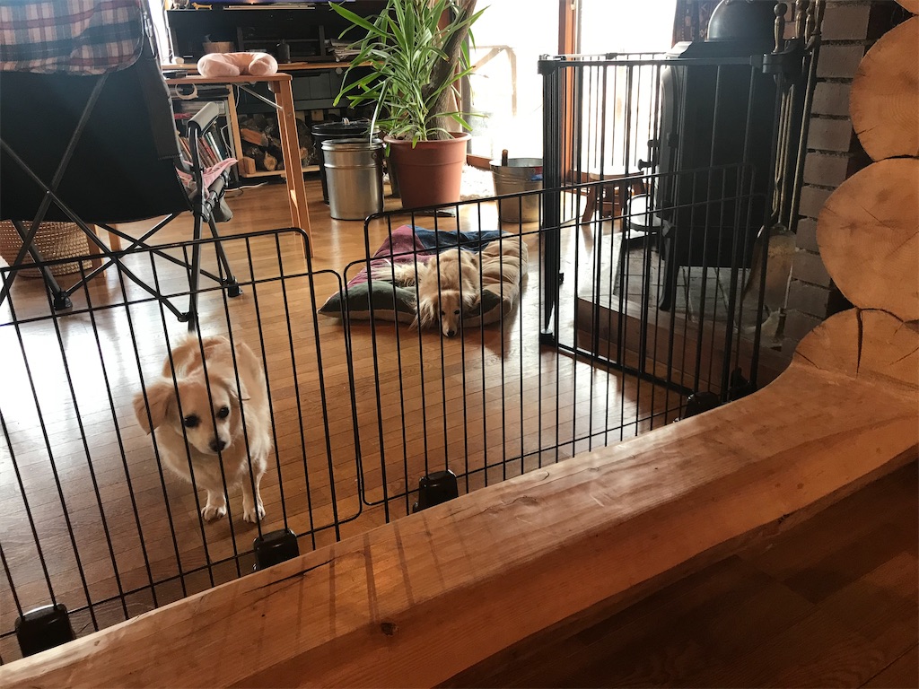 f:id:captaindog082:20191215221525j:image