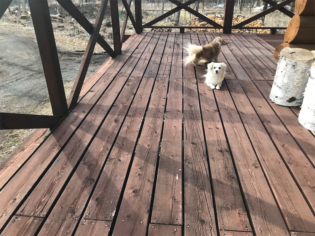 f:id:captaindog082:20200215164553j:image