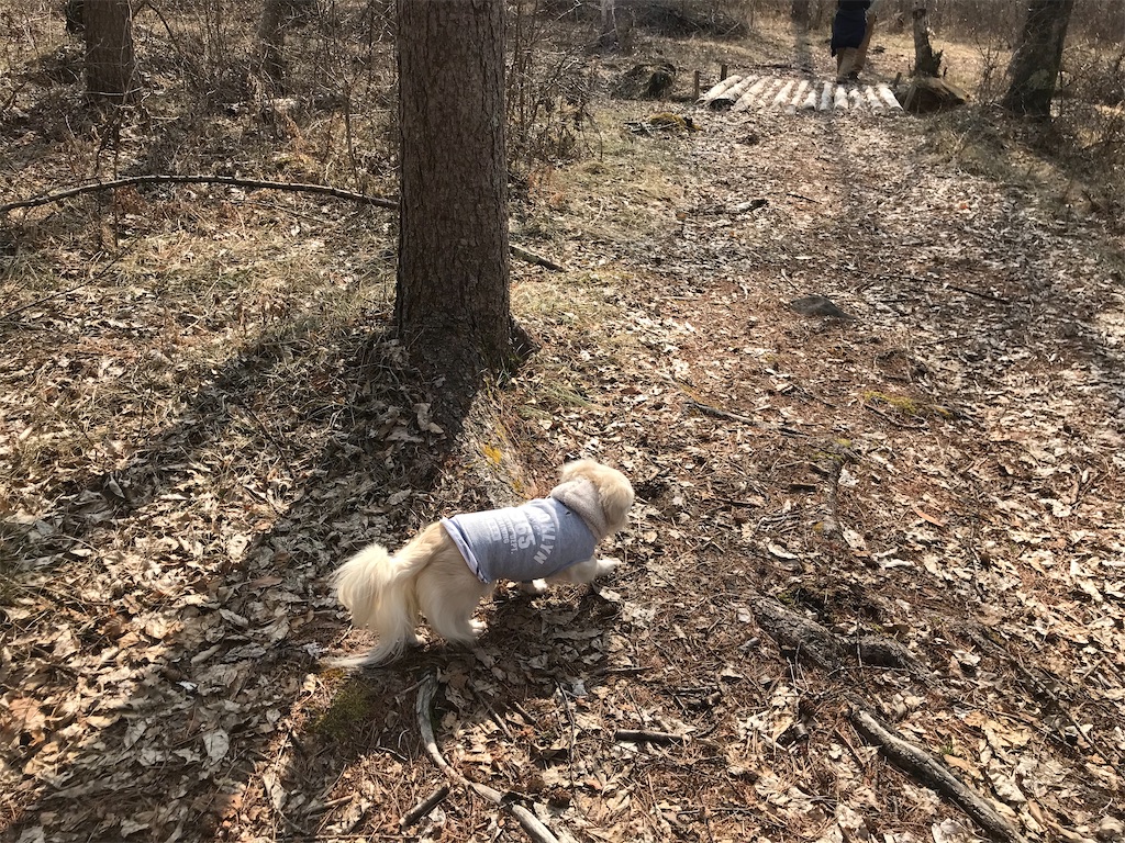 f:id:captaindog082:20200403170729j:image