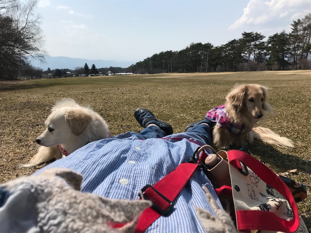 f:id:captaindog082:20200416164341j:image