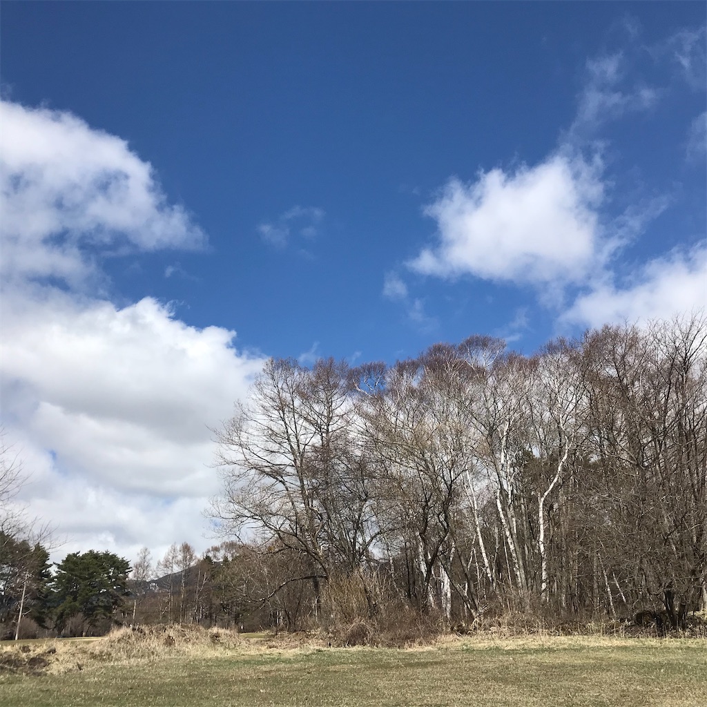 f:id:captaindog082:20200419201807j:image f:id:captaindog082:20200419201807j:image