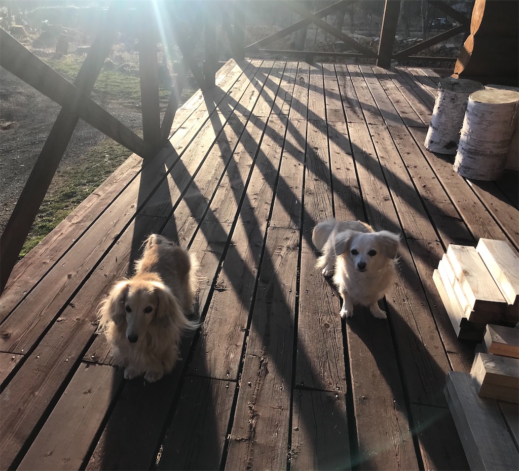 f:id:captaindog082:20200422210233j:image