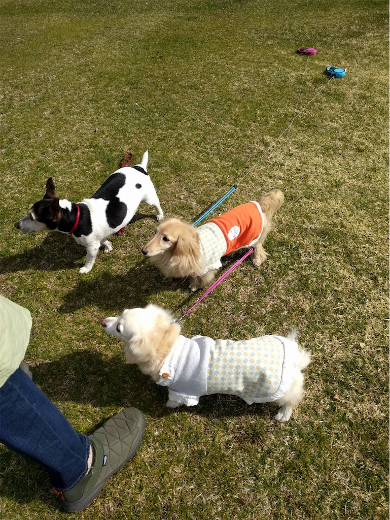f:id:captaindog082:20200430103901j:image