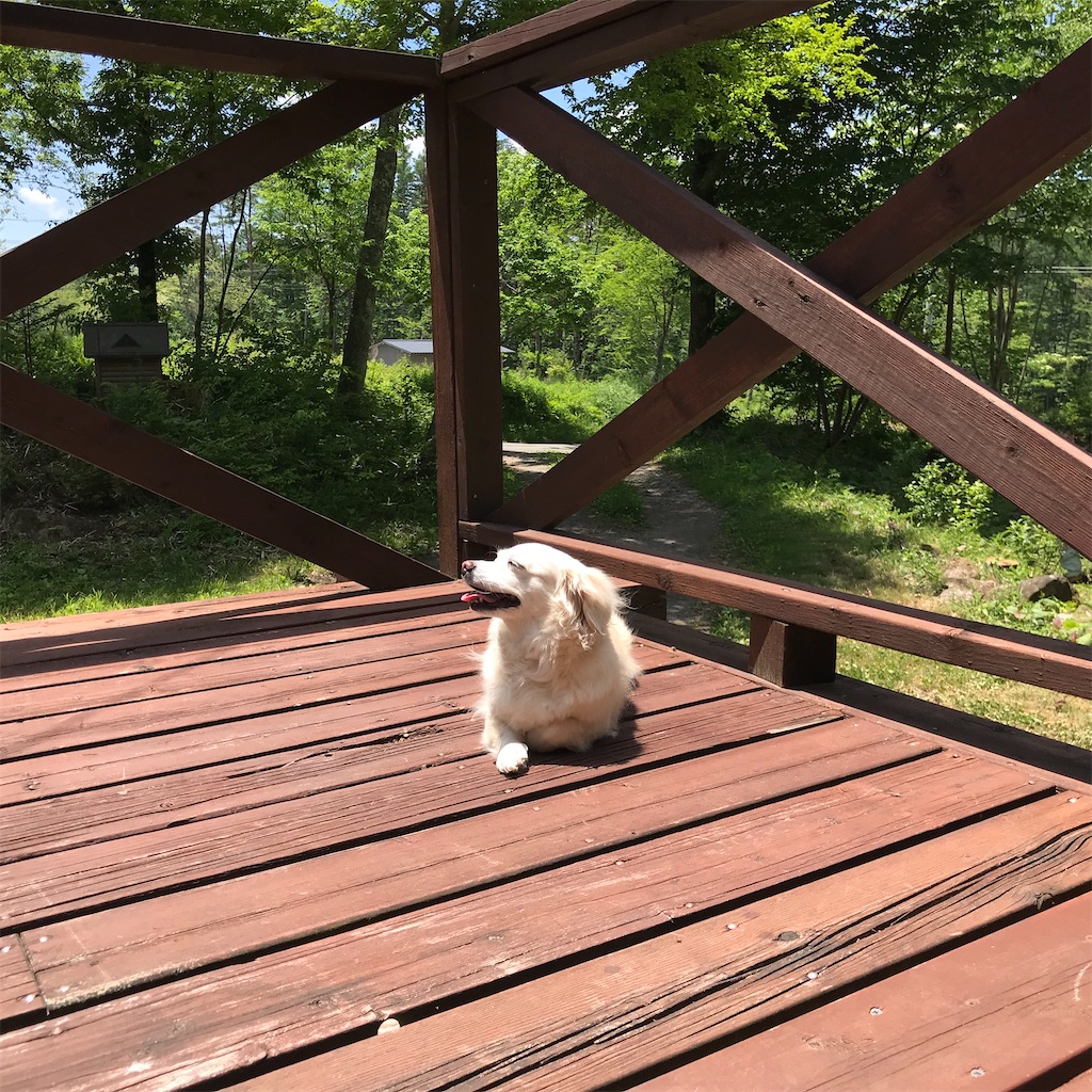 f:id:captaindog082:20200607140111j:image