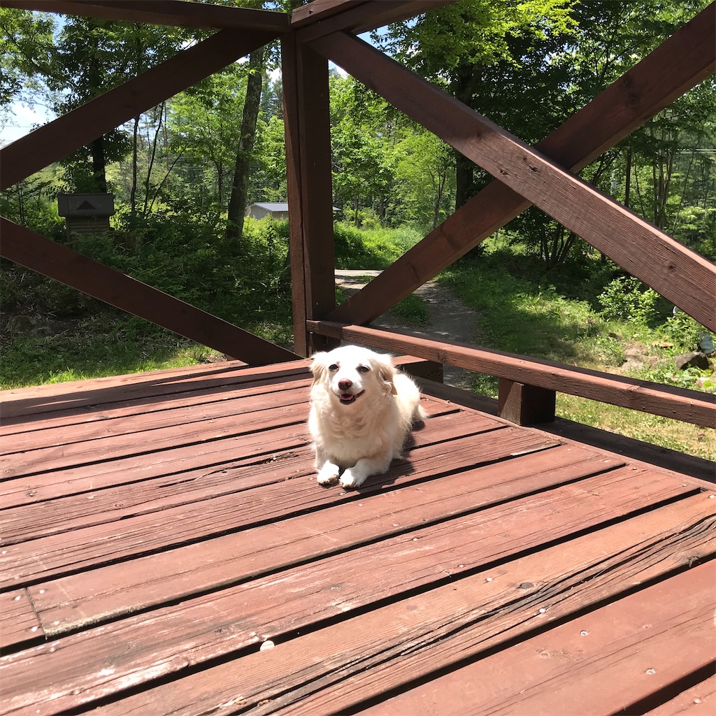 f:id:captaindog082:20200607140140j:image