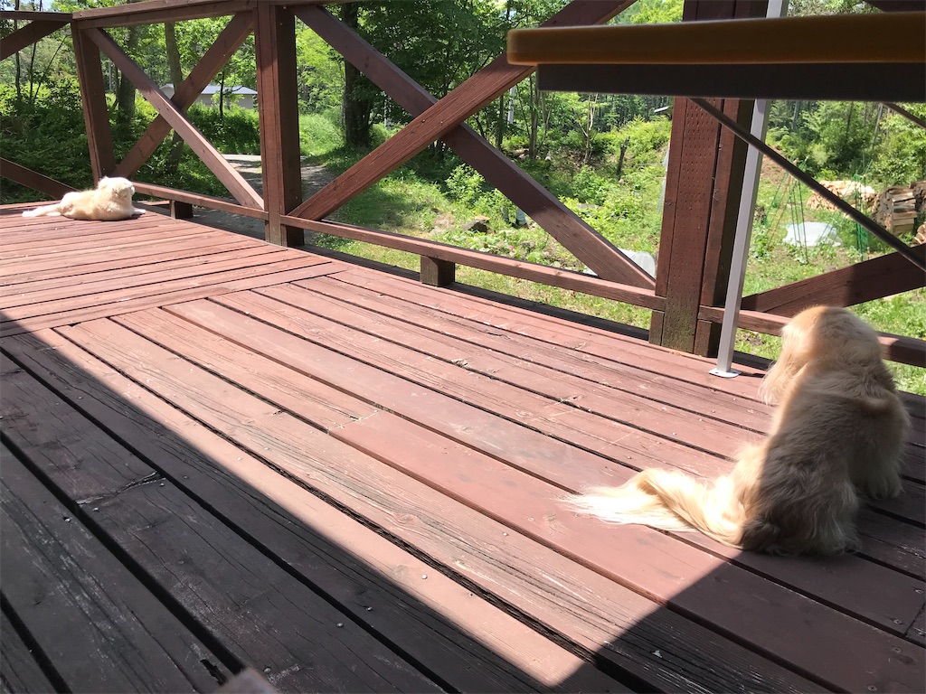 f:id:captaindog082:20200607140147j:image