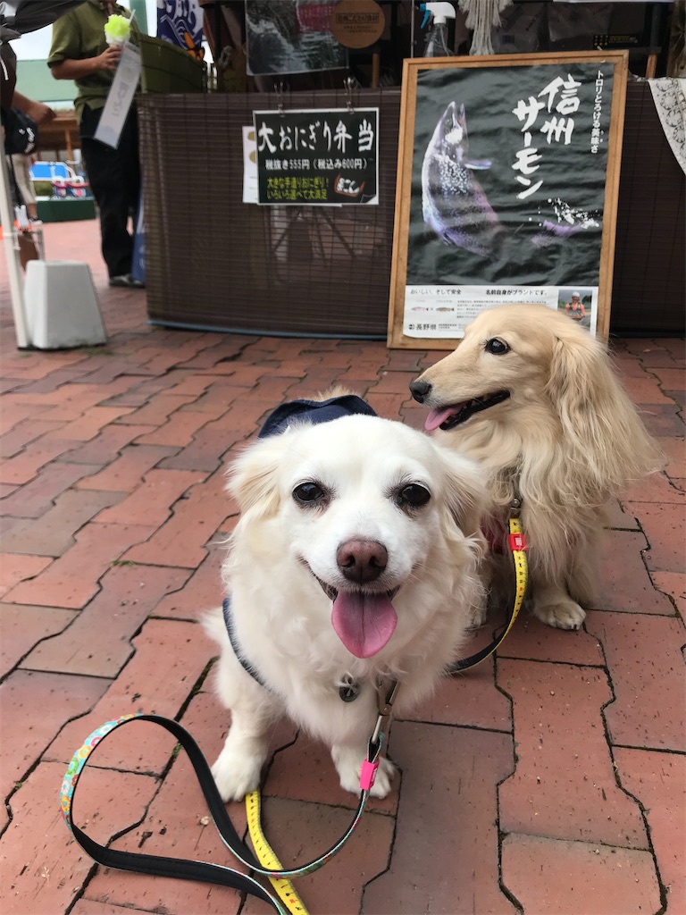 f:id:captaindog082:20200809214835j:image