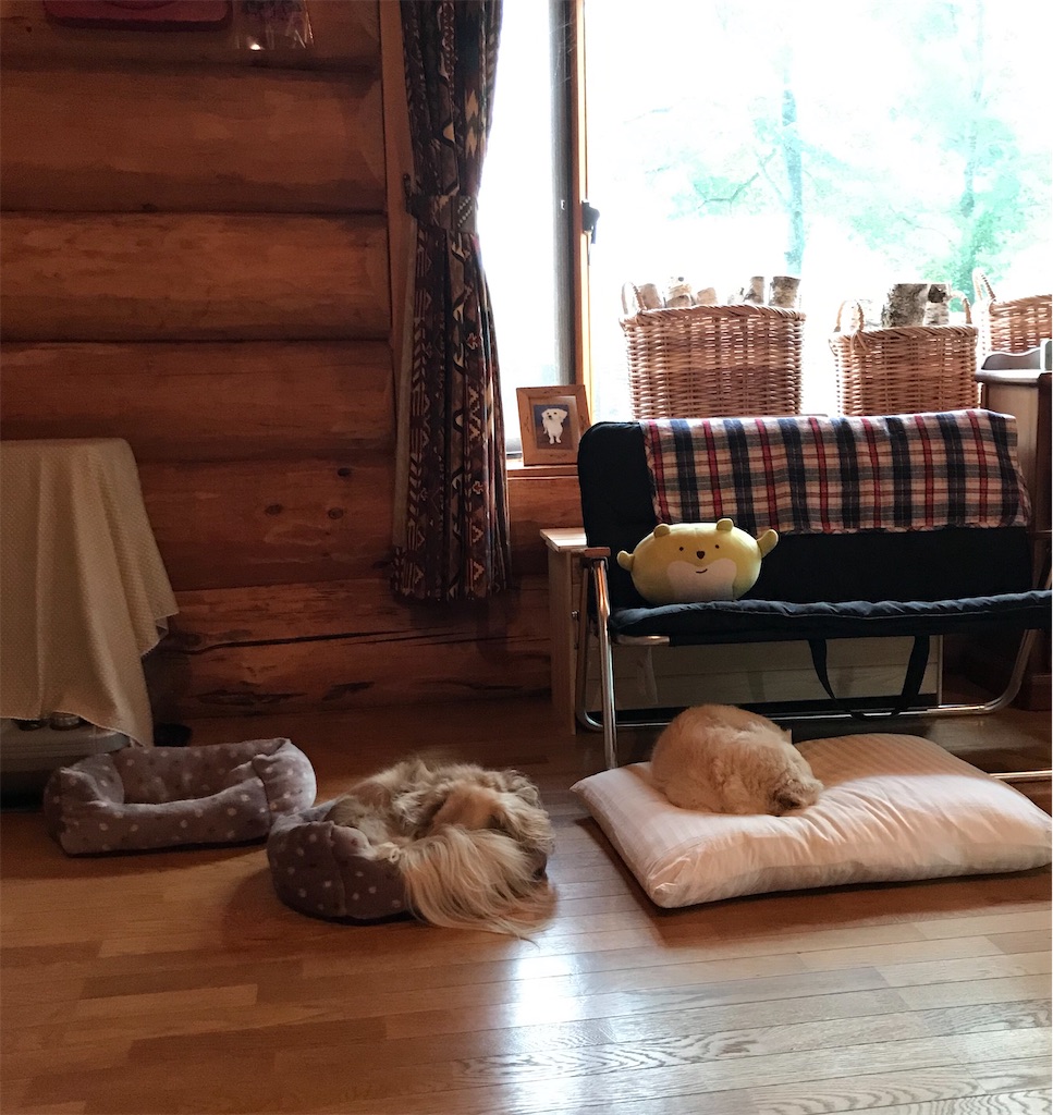 f:id:captaindog082:20200907063610j:image