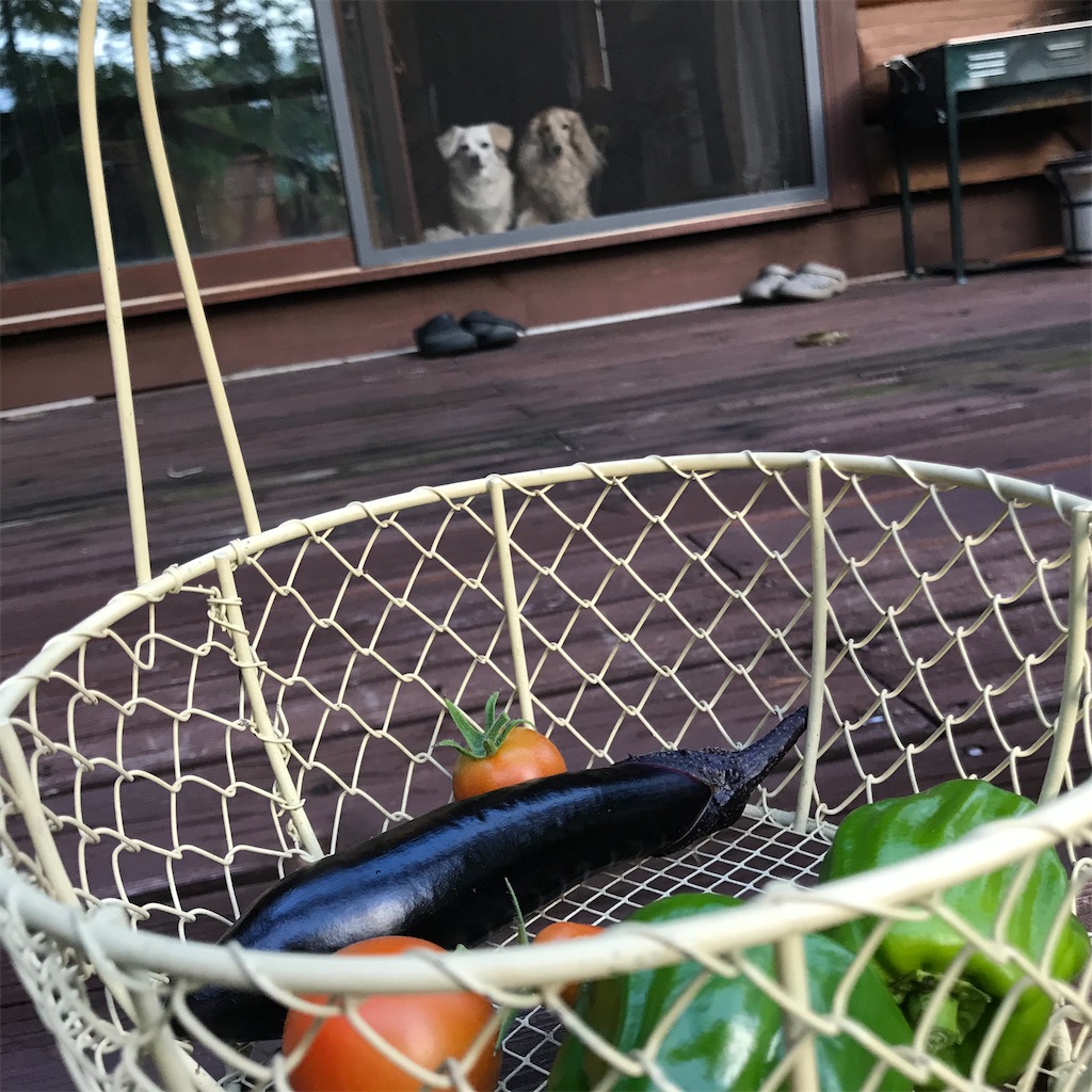 f:id:captaindog082:20200907180515j:image