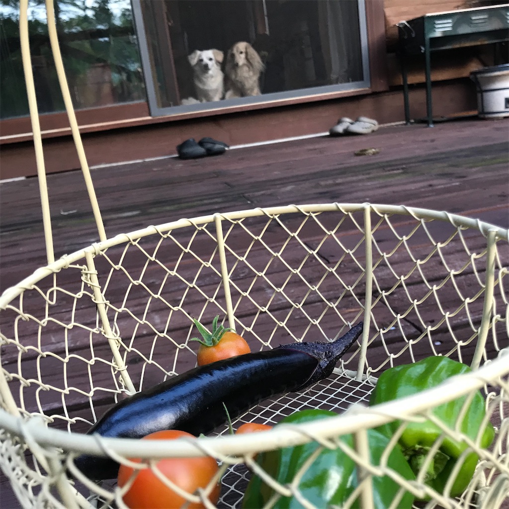 f:id:captaindog082:20200907180526j:image