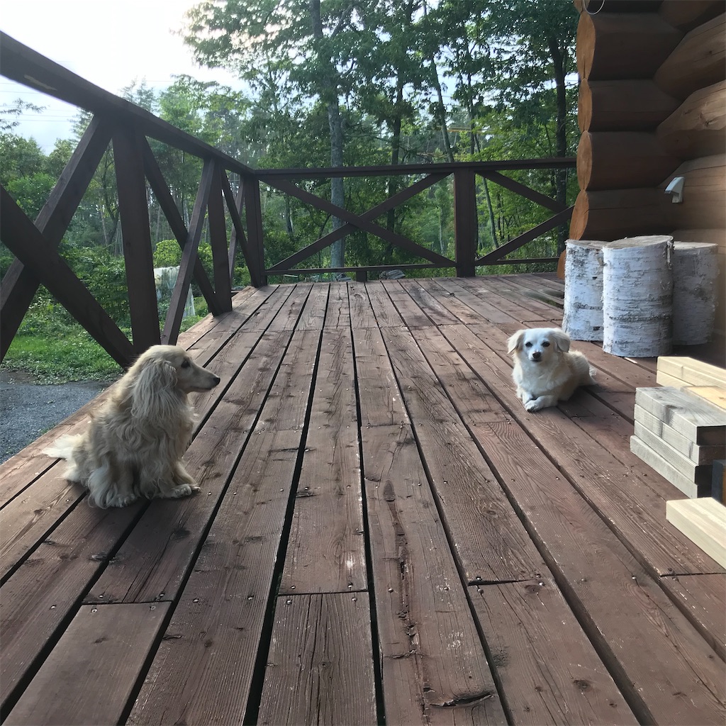 f:id:captaindog082:20200907180731j:image