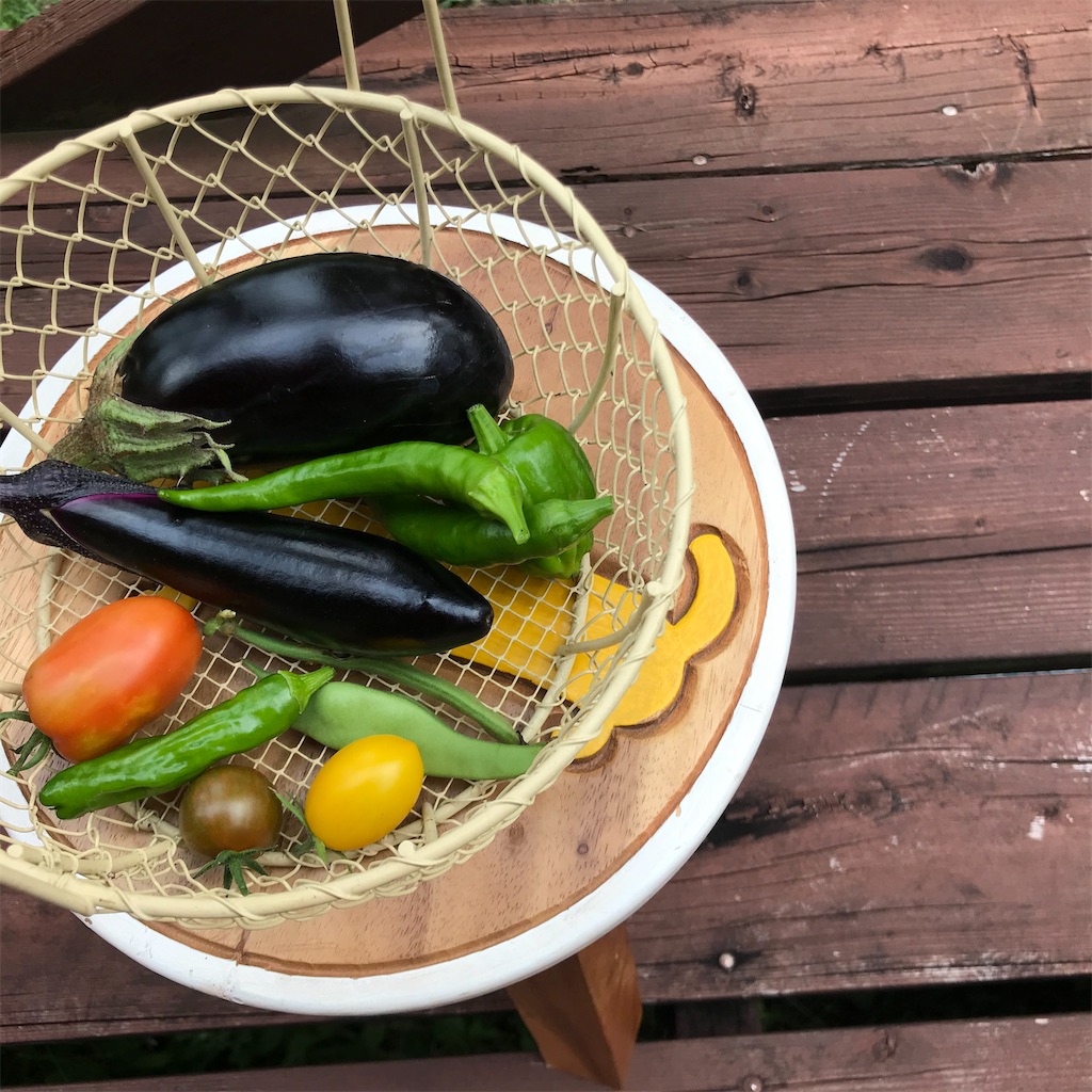 f:id:captaindog082:20200911162131j:image