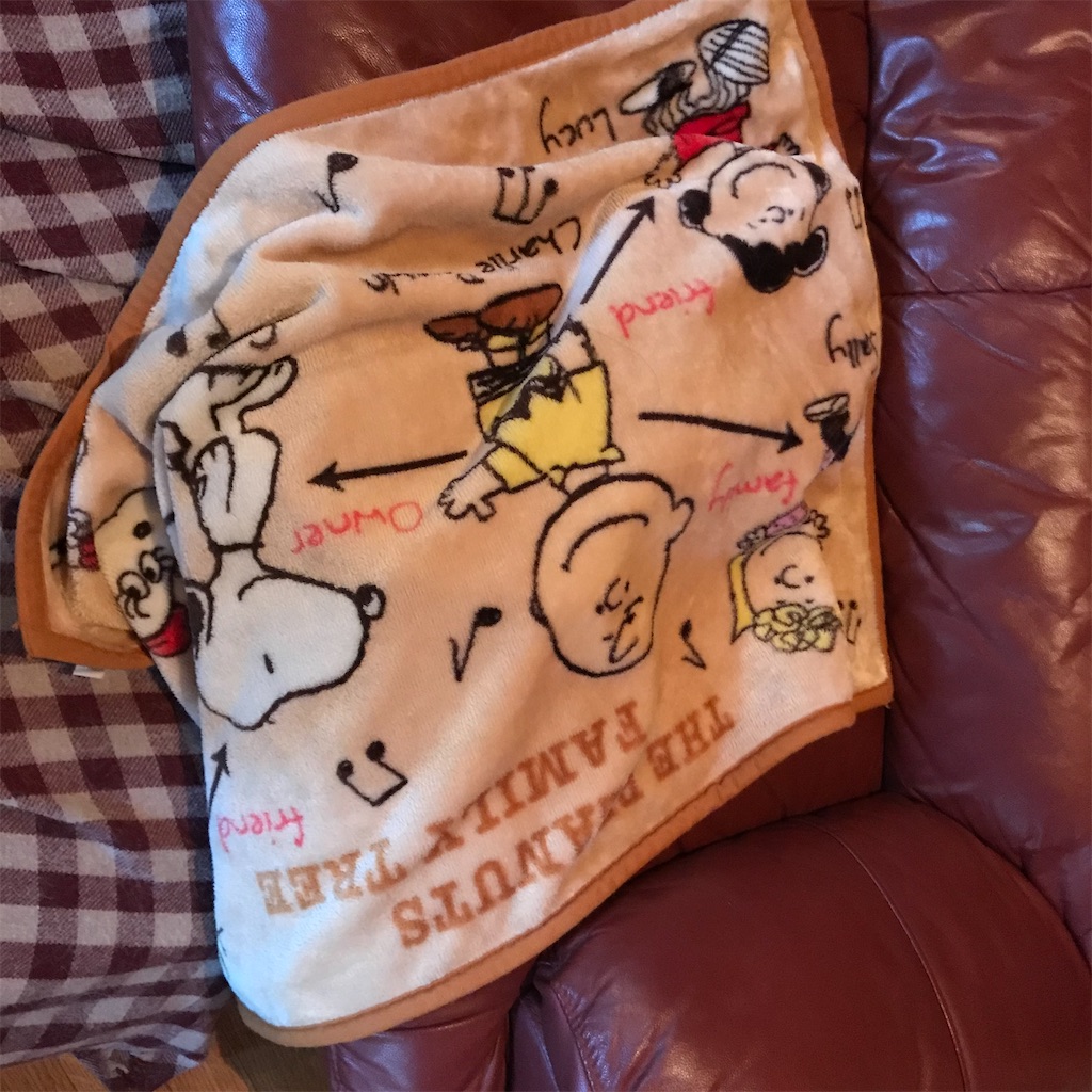 f:id:captaindog082:20200917074255j:image