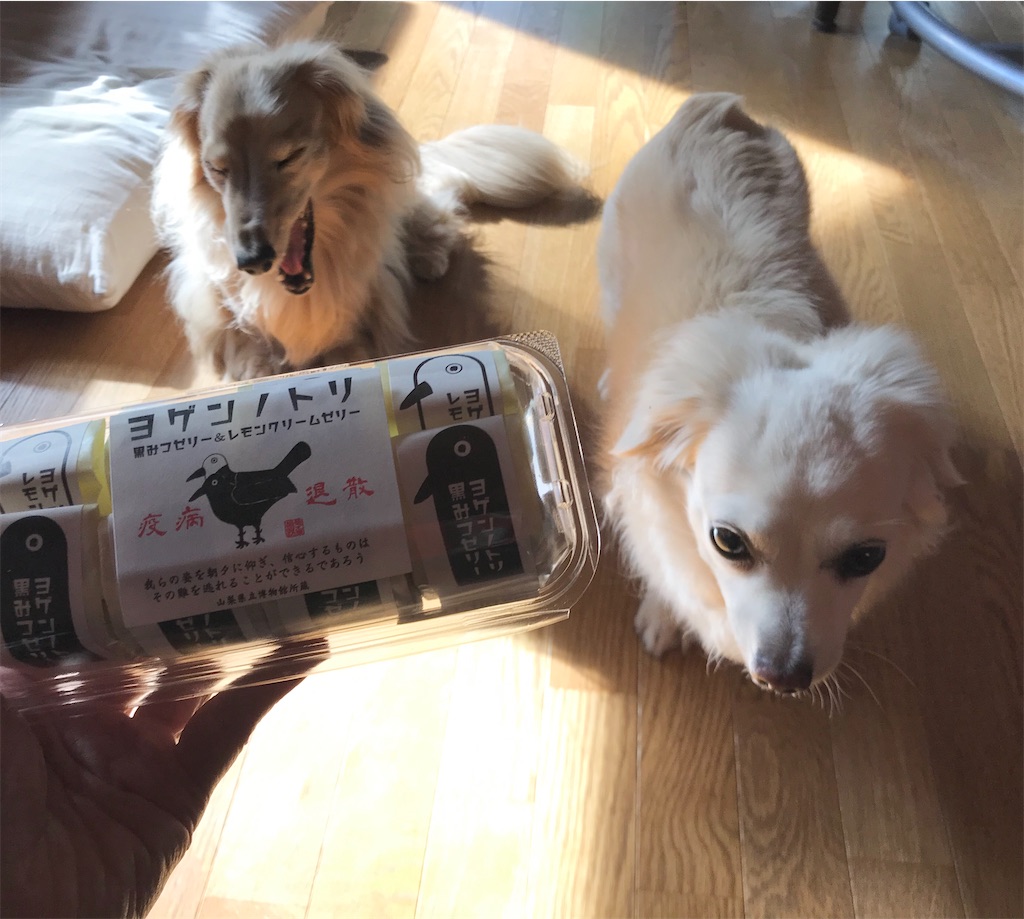 f:id:captaindog082:20200919161116j:image