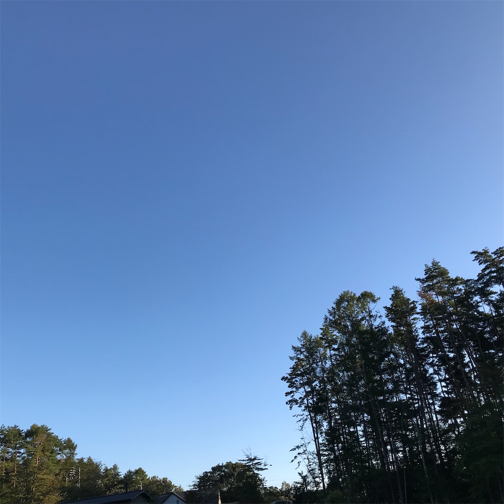 f:id:captaindog082:20200928224625j:image