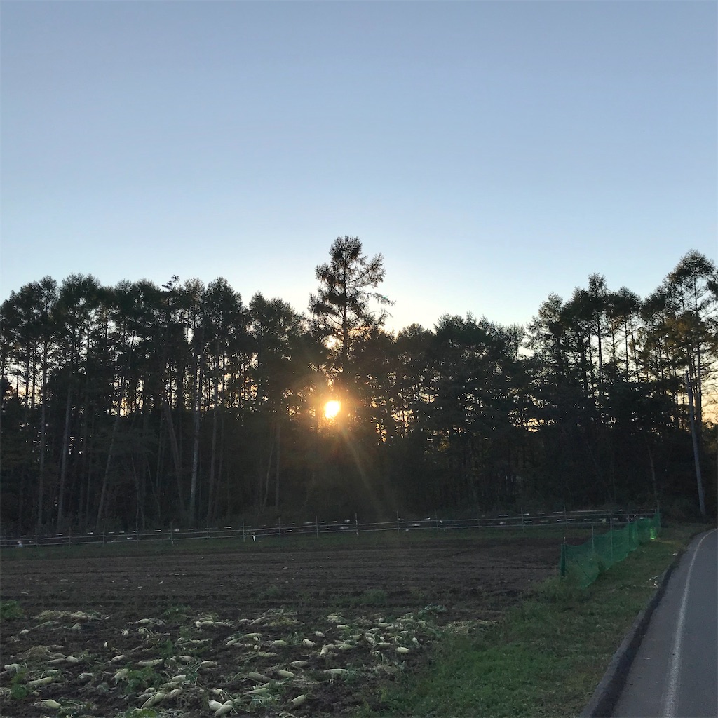 f:id:captaindog082:20201020183554j:image