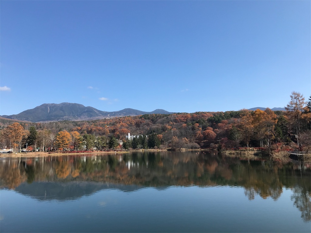 f:id:captaindog082:20201112204615j:image