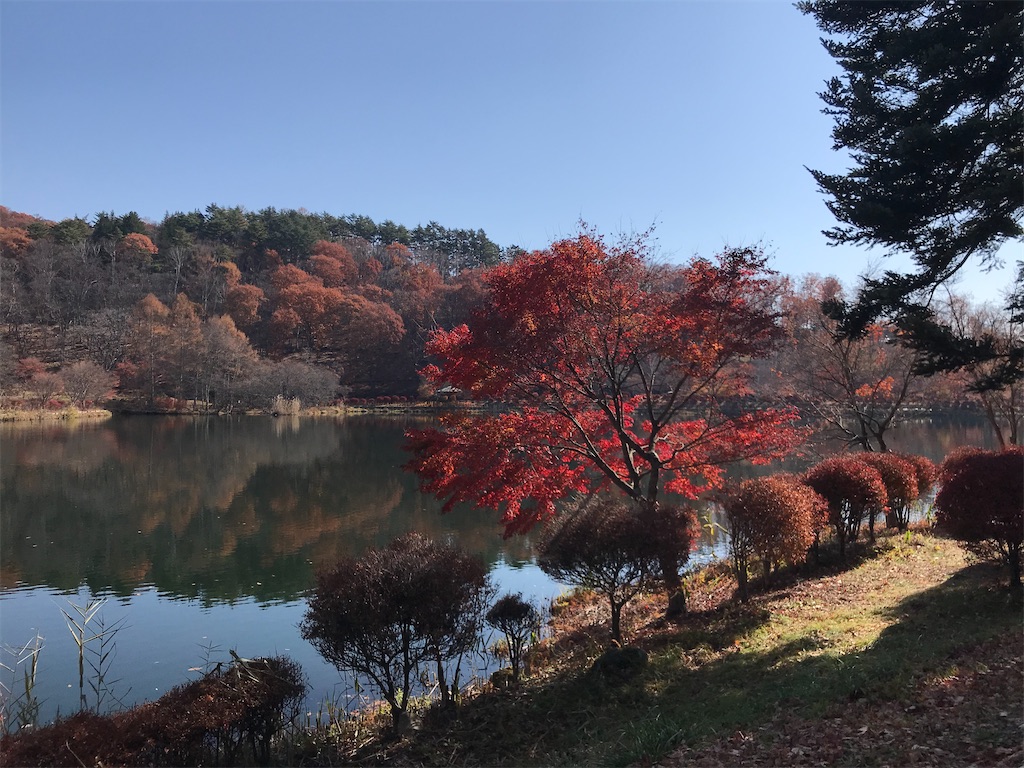 f:id:captaindog082:20201112204642j:image