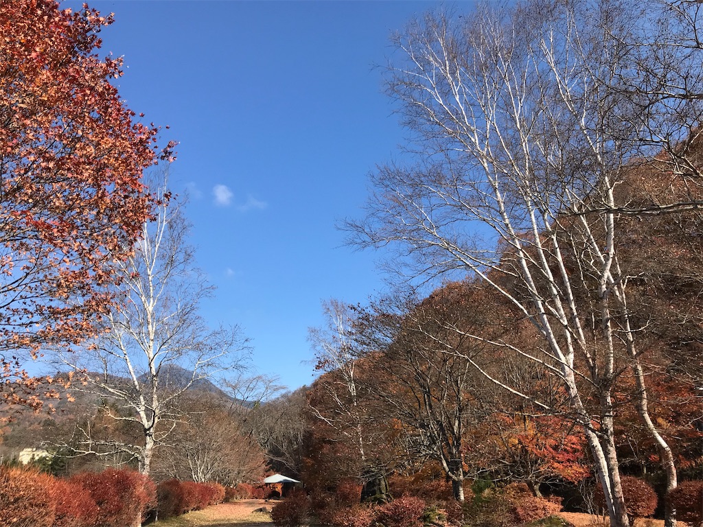 f:id:captaindog082:20201112204811j:image
