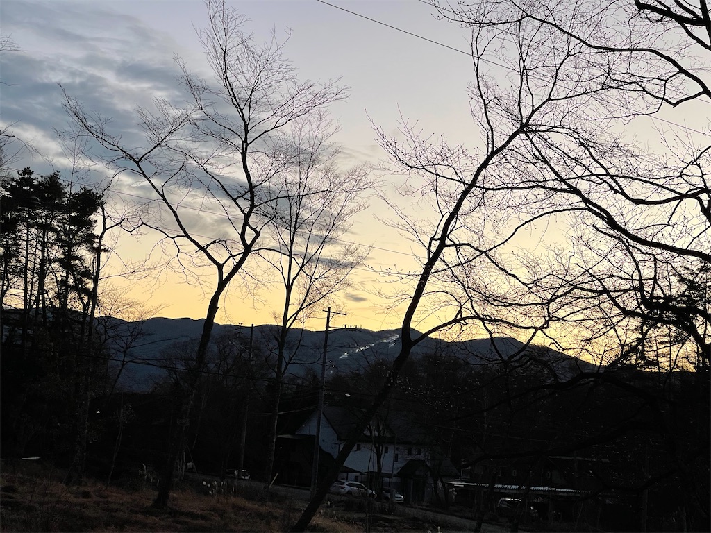 f:id:captaindog082:20201130183428j:image