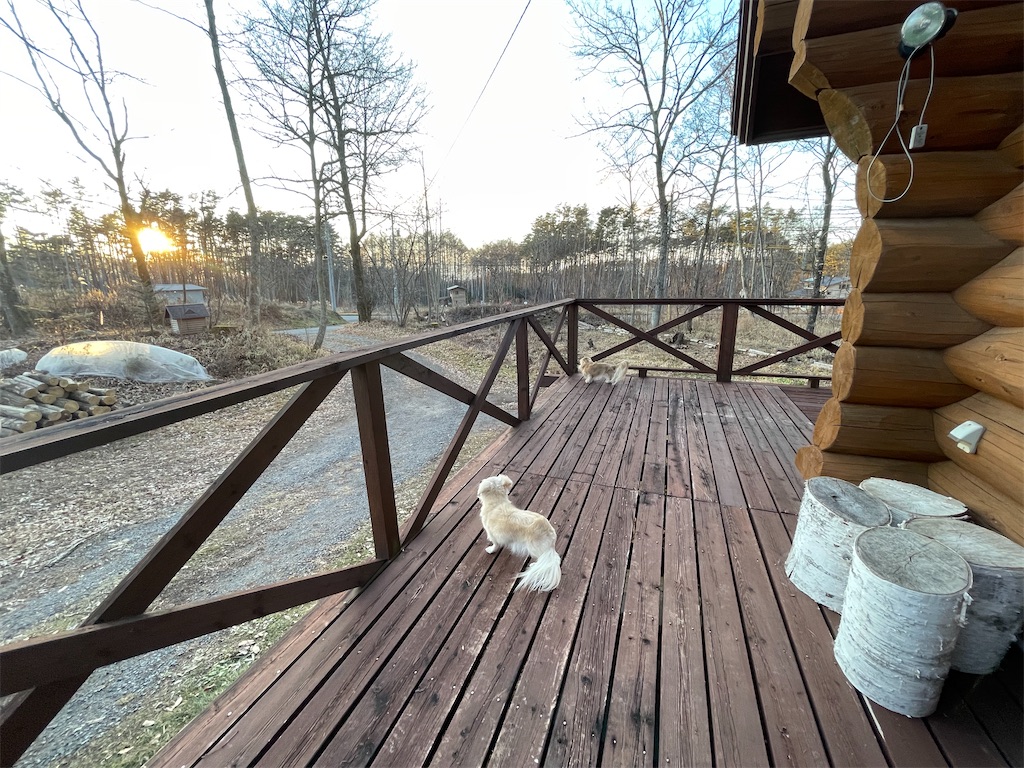 f:id:captaindog082:20201208184145j:image