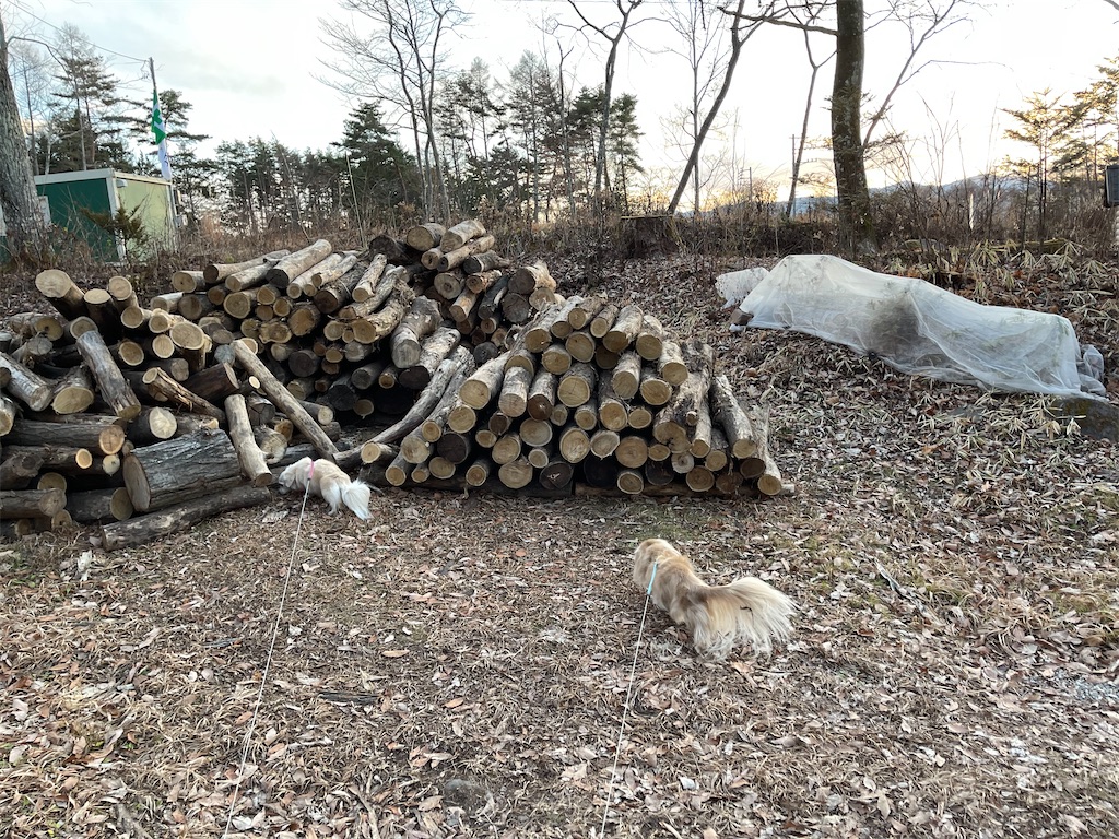 f:id:captaindog082:20201210210258j:image