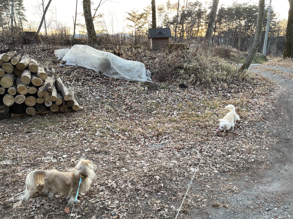f:id:captaindog082:20201210210302j:image