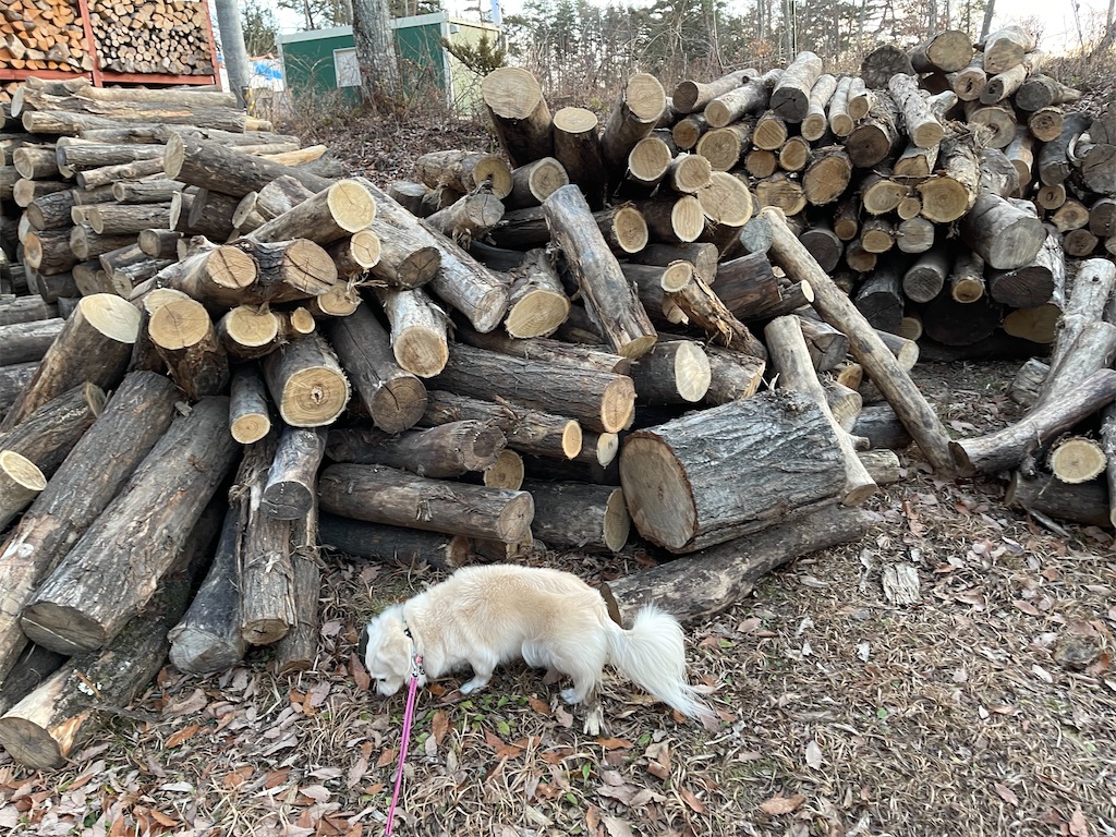 f:id:captaindog082:20201210210306j:image