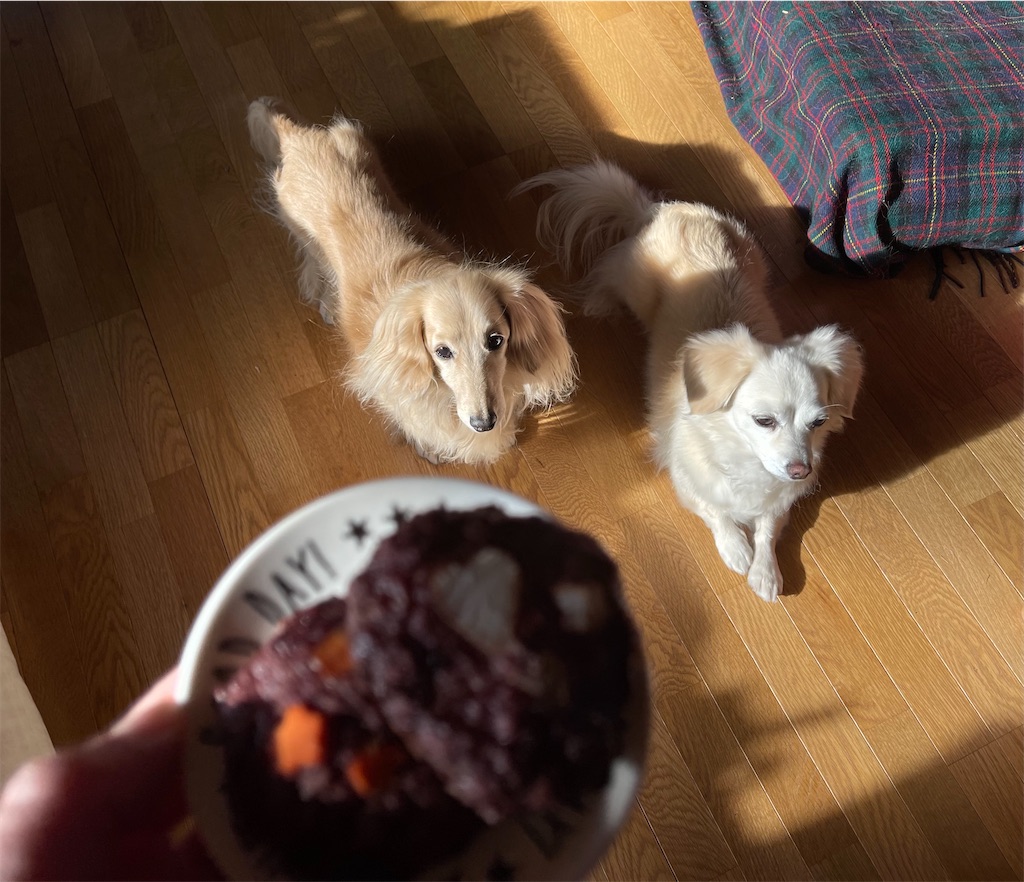 f:id:captaindog082:20201210223203j:image