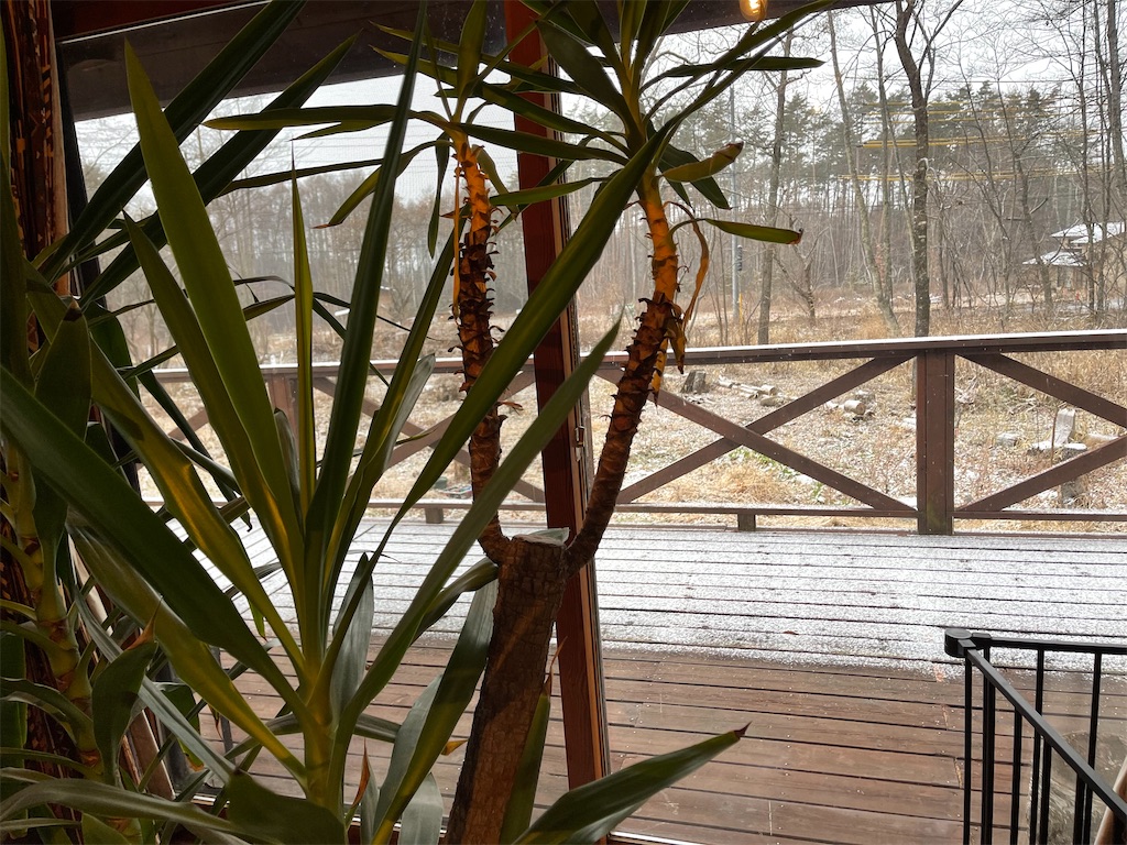 f:id:captaindog082:20201214091927j:image
