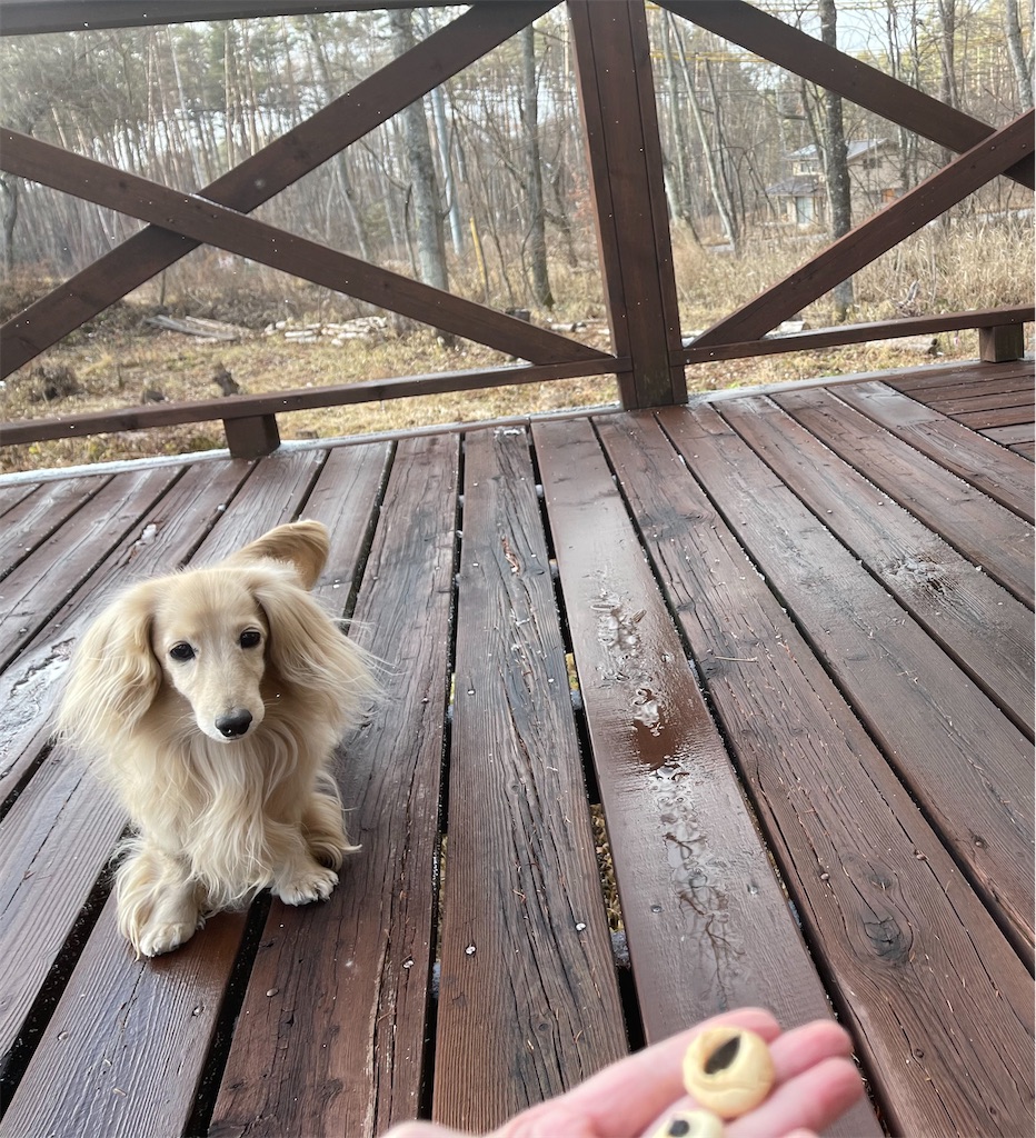 f:id:captaindog082:20201214173941j:image