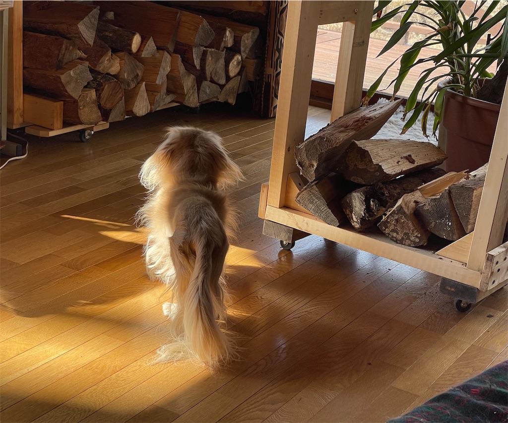 f:id:captaindog082:20201215172749j:image