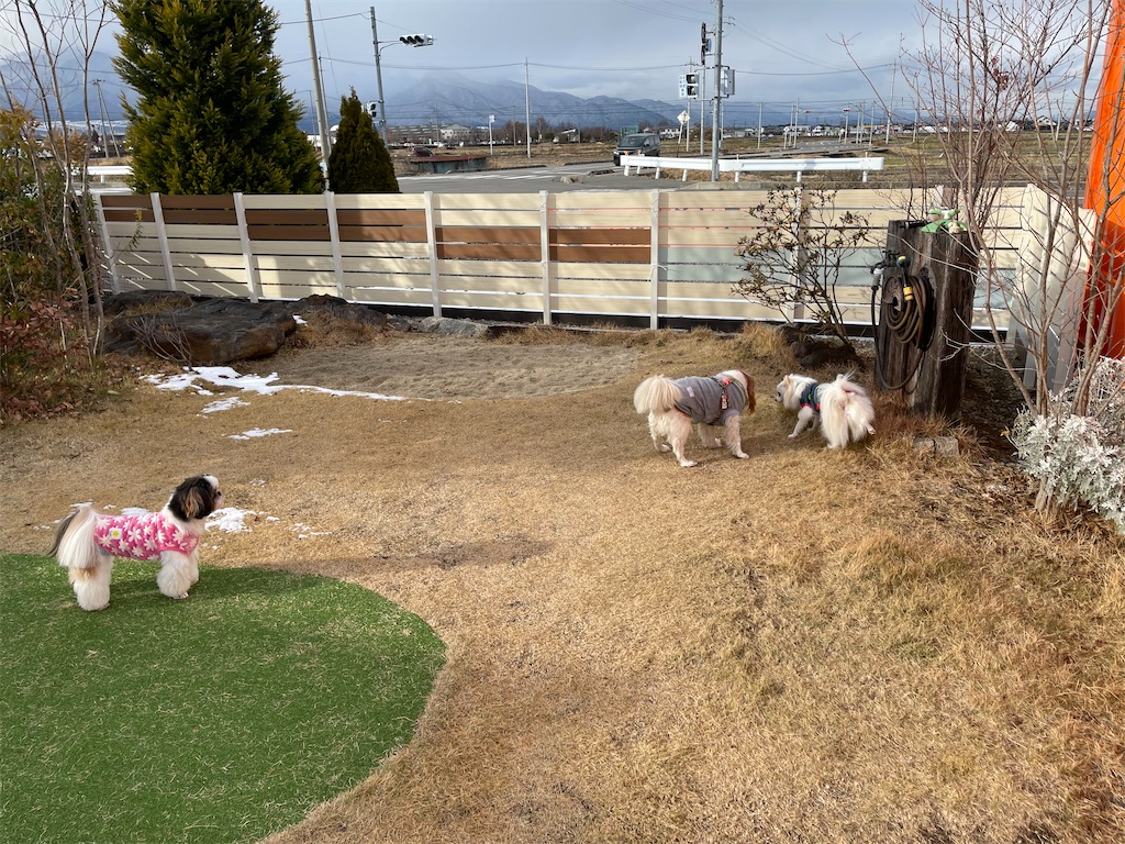 f:id:captaindog082:20201220115139j:image