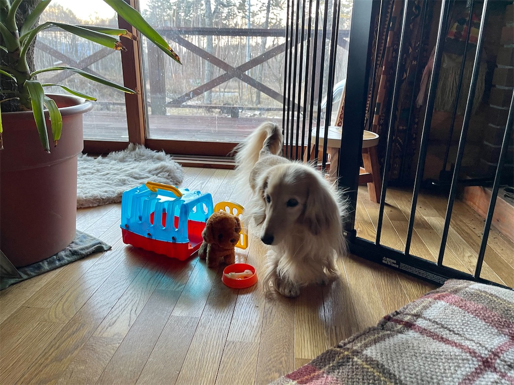 f:id:captaindog082:20210102171049j:image