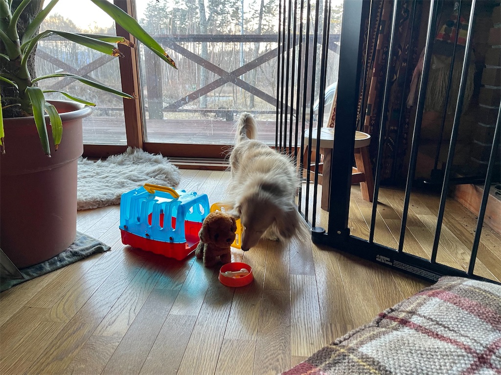 f:id:captaindog082:20210102171056j:image