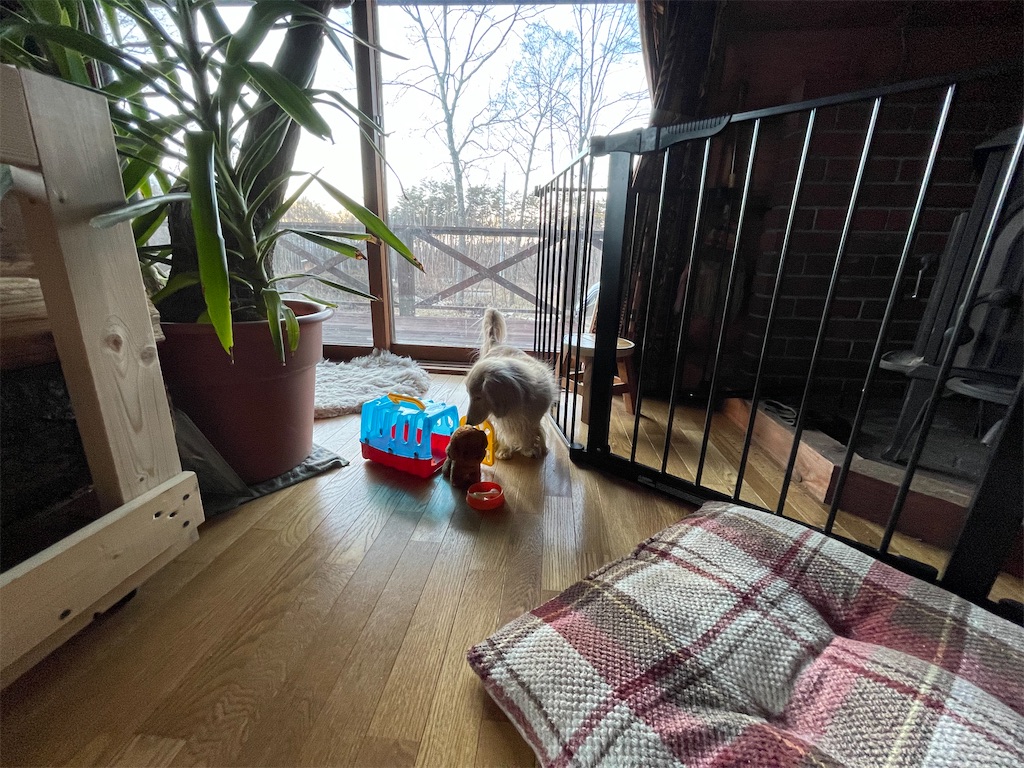 f:id:captaindog082:20210102171059j:image