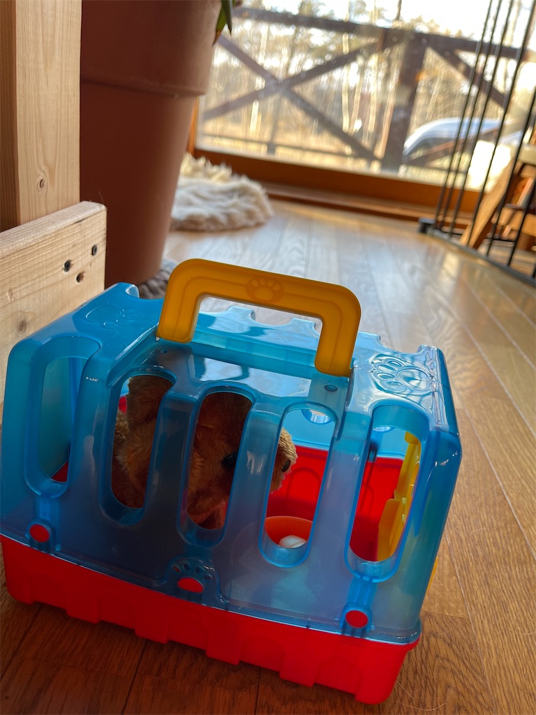 f:id:captaindog082:20210102171107j:image