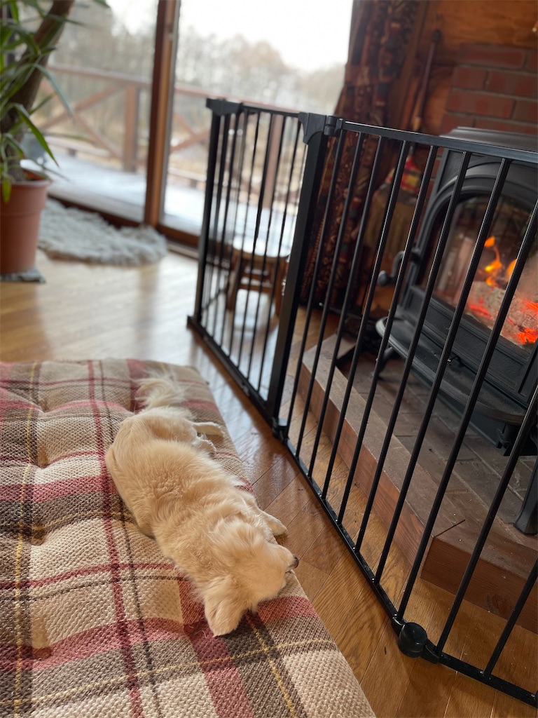 f:id:captaindog082:20210103092613j:image