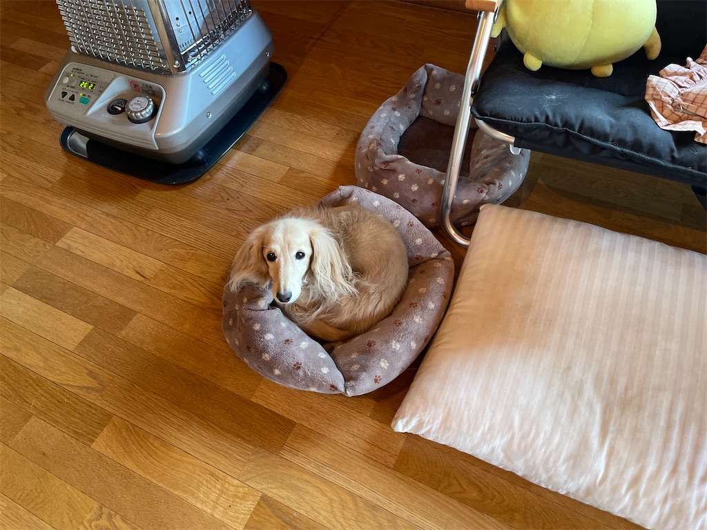 f:id:captaindog082:20210103092617j:image