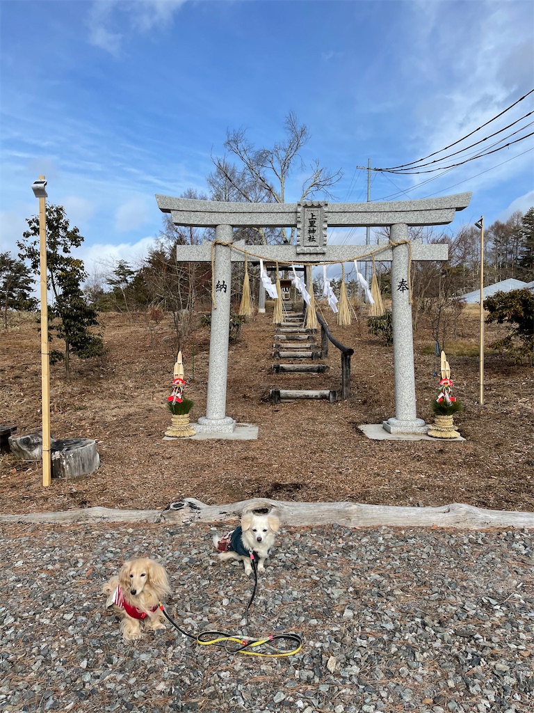 f:id:captaindog082:20210103180452j:image