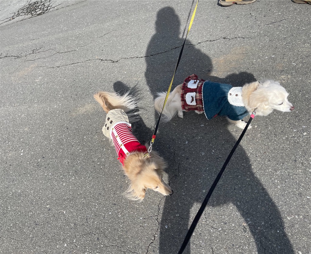 f:id:captaindog082:20210103180458j:image