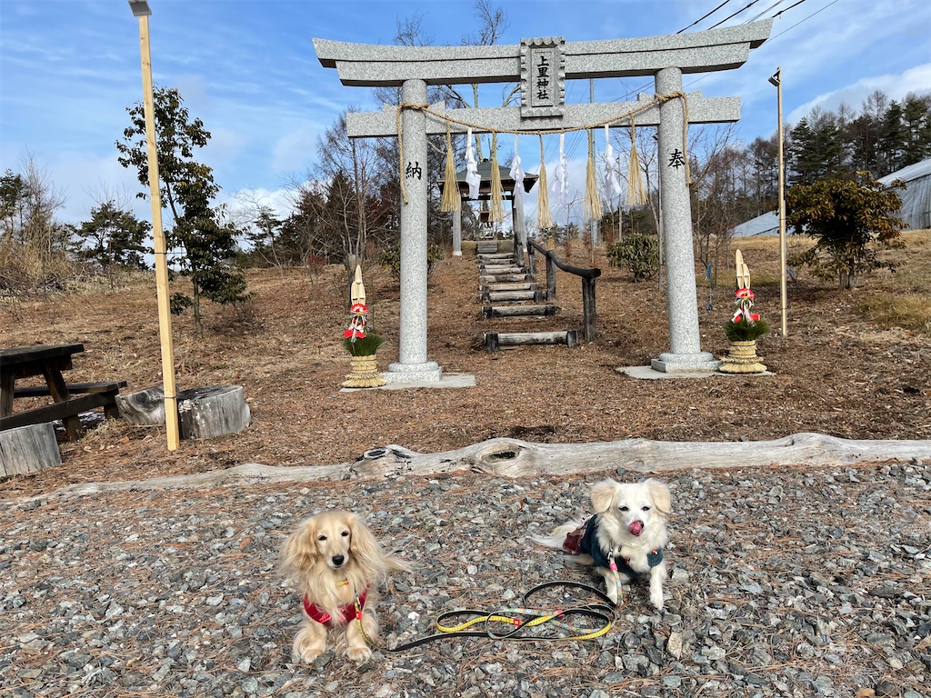 f:id:captaindog082:20210103180501j:image