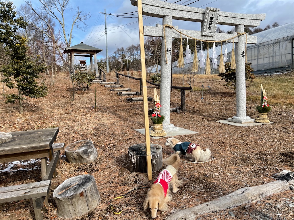 f:id:captaindog082:20210103180505j:image